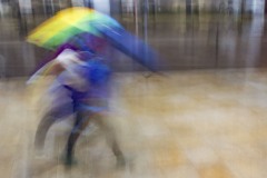 00001-546x400_IMG_0002