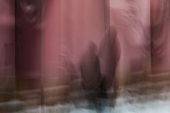 00015-546x400_IMG_7455