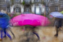 00023-dodruk_546x400_IMG_9997