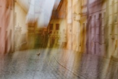 00025-dodruk_546x400_IMG_5289